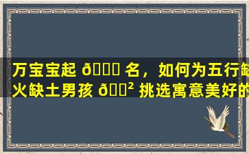 万宝宝起 🐒 名，如何为五行缺火缺土男孩 🌲 挑选寓意美好的名字